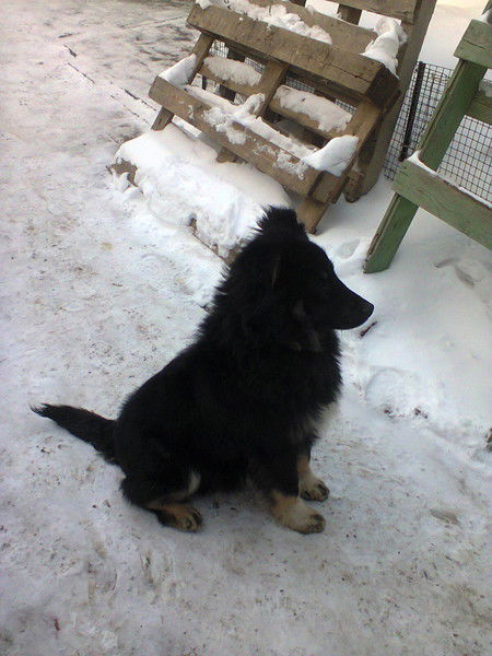 Данька Гришина