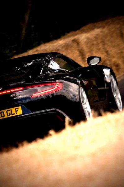 Полина Николаева