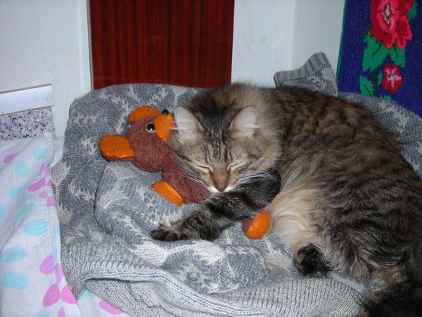 Ирина Беляева