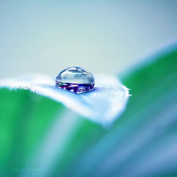 Вероника Исмутдинова