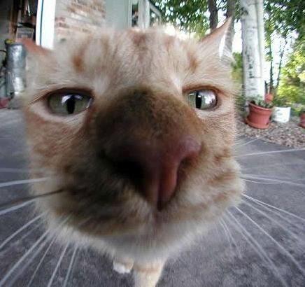 Александр Валерьевич