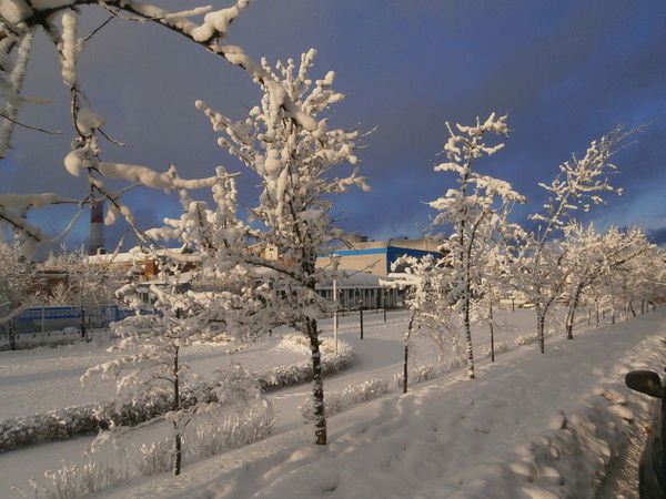 Татьяна Богомолова