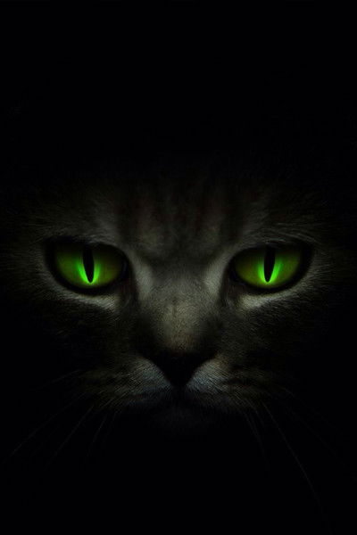 Анастасия Якимова