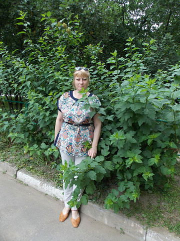 Елена Федотова