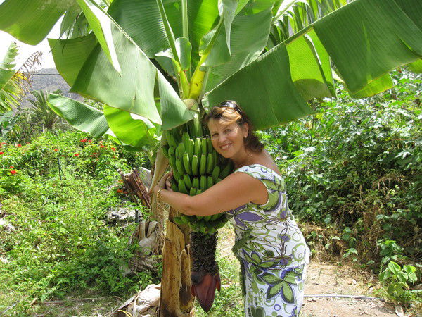 Елена Захарова