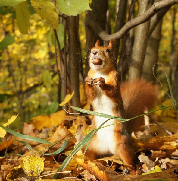 Оксана Пашкова