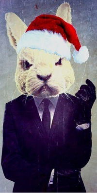 Санич Климчук