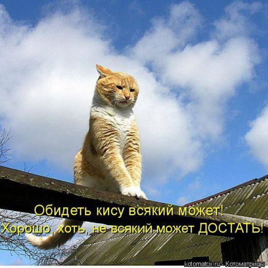 Александр Александр