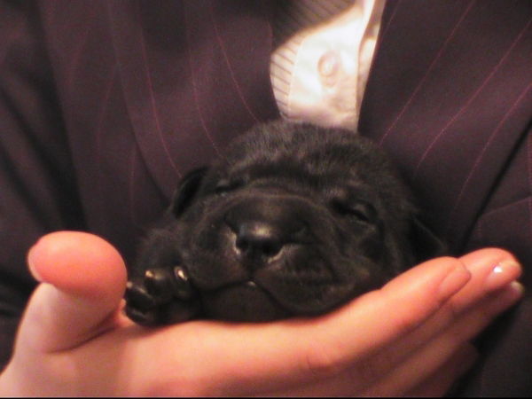 Анна Галактионова