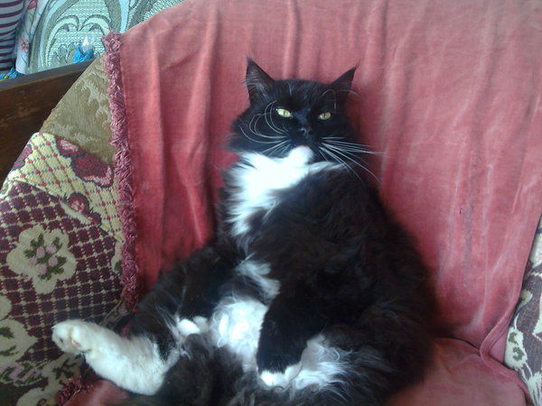 Александр Логунов