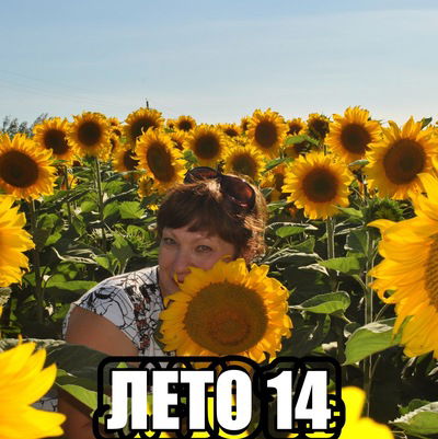 Света Сергеева