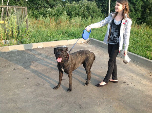 Дмитрий Обыдин