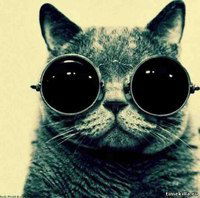 Алексей Осипов