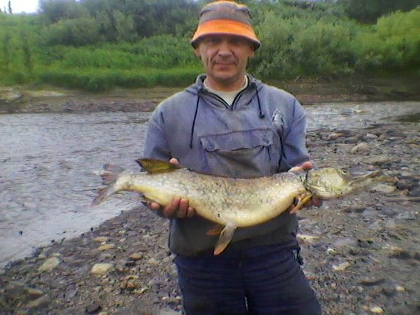 Сергей Лесной