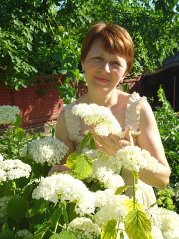 Лучика Пасат