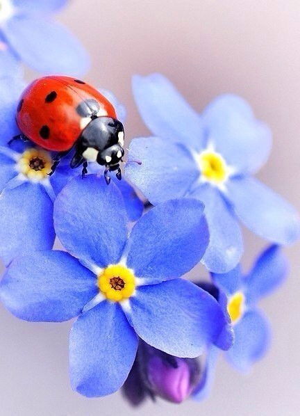 Жанна Абилмажинова