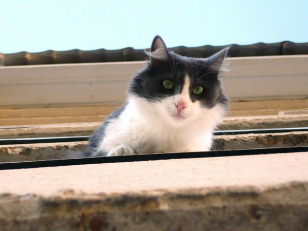 Ильдар Вафин