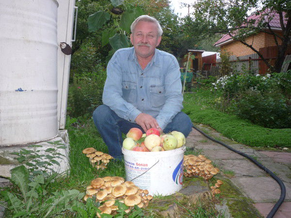 Владимир Косарьков