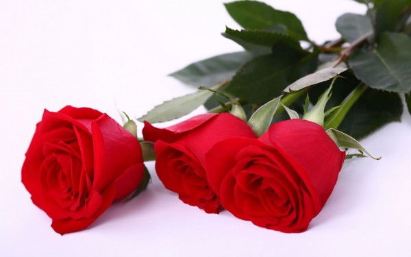 Фарида Сыздыкова