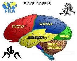 Александр Стрюков