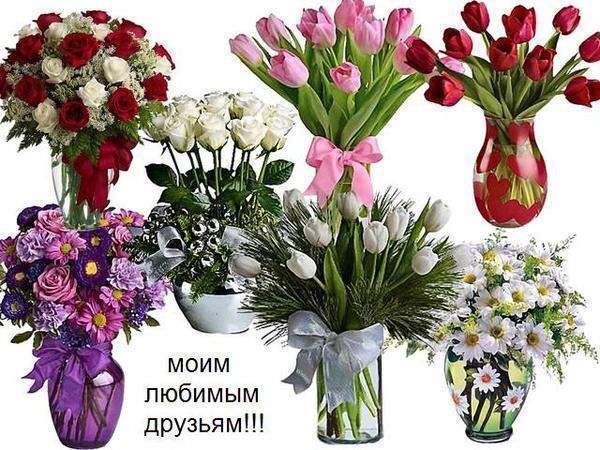 Галина Веселова