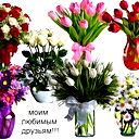 Галина Веселова