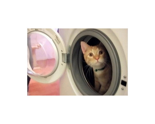 Ремонт Стиральных Машин