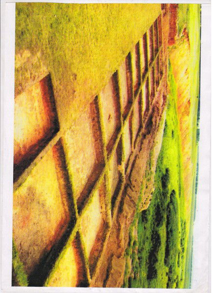 Бахыт Жалмагамбетова