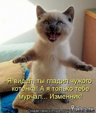 Людмила Бардина