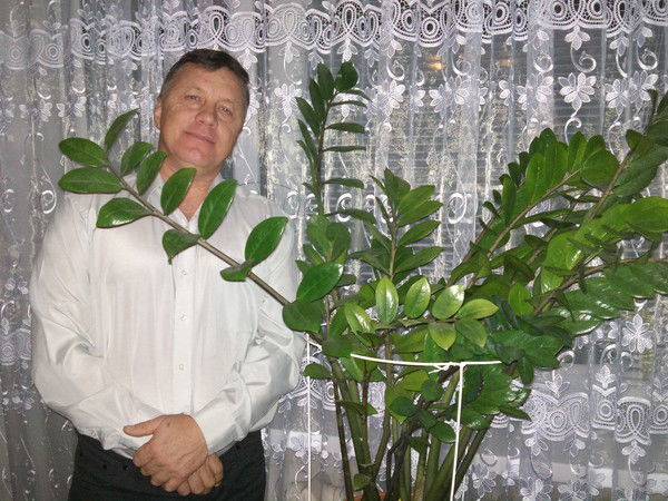 Евгений Алкин