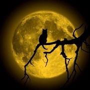 Игорь Лакеев