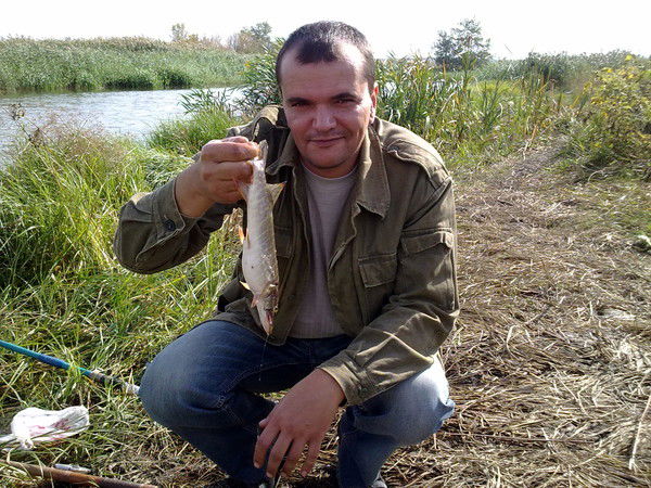 Виталий Матвеенко