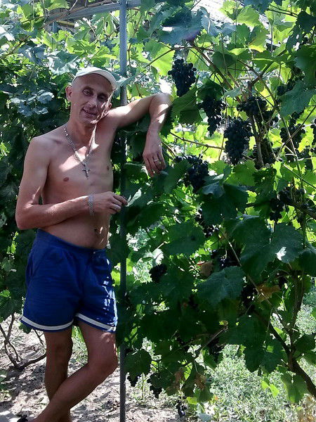 Макс Викторович