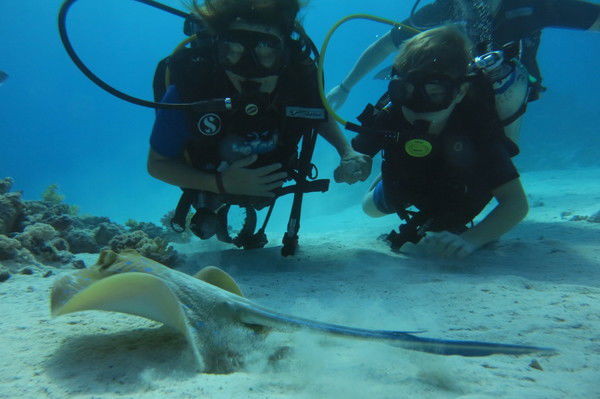 Наталья Ивко