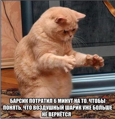 Дана Степанюк