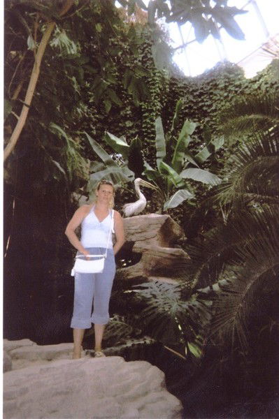 Ира Дамочкина