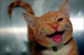 Константин Гужаковский