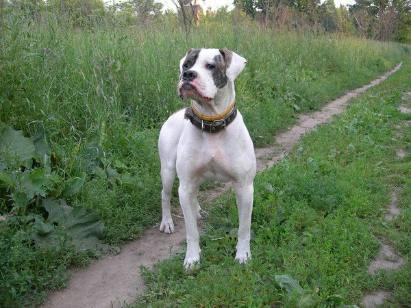 Татьяна Красикова