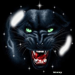 Анжелика Соколова