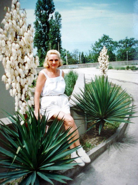 Алиса Кошкина