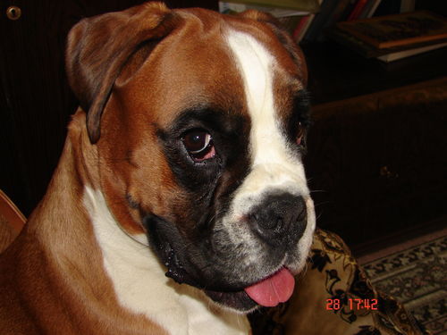 Варвара Лукьянова