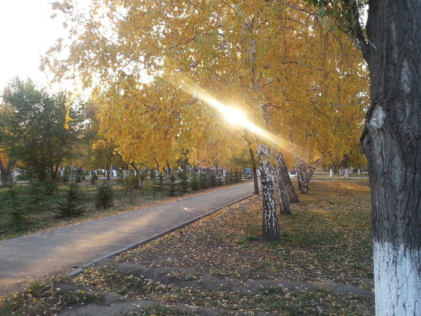 Жамал Камалетдинова