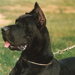 Соловьева Ольга