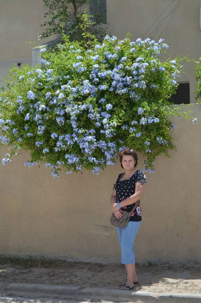 Ольга Куропаткина