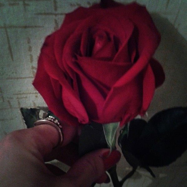 Нона Багдасарян