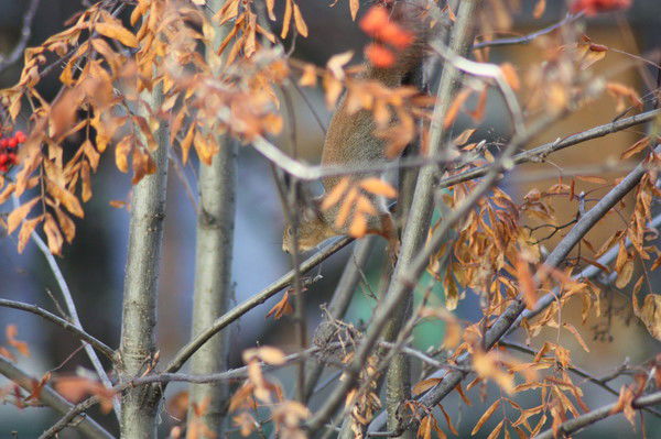 Юлия Артикулова