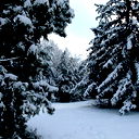 Талдыкорганский Лесхоз