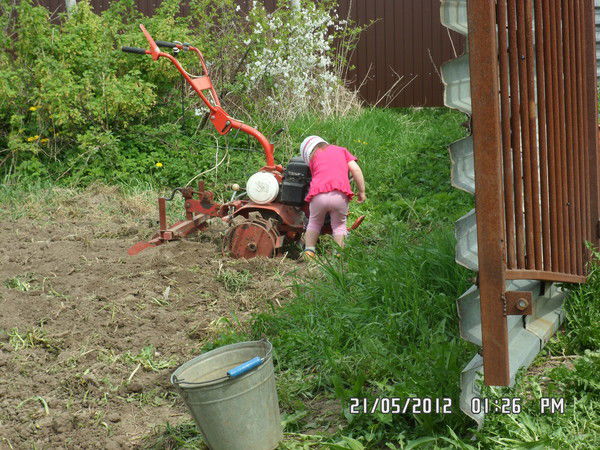 Вова Соколов