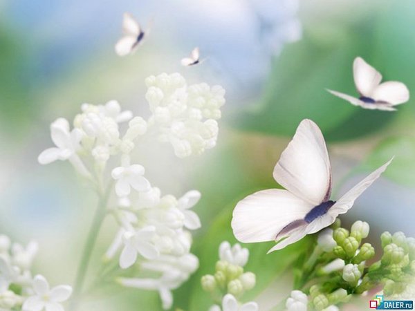 Ольга Петухова