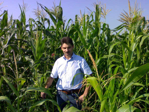 Александр Ярушин